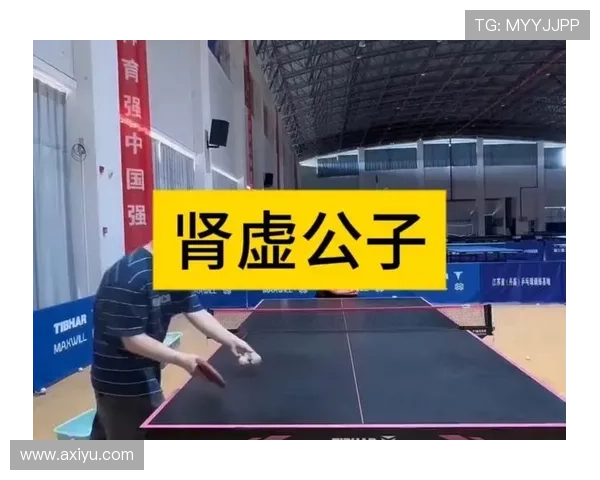 乒乓球节奏排行榜揭晓上海乒乓球队荣获第三名佳绩