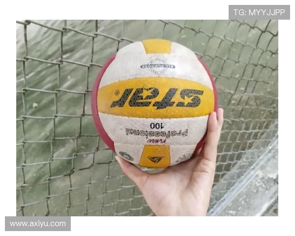 从零基础到排球高手：全面掌握排球技术与实战技巧的终极指南