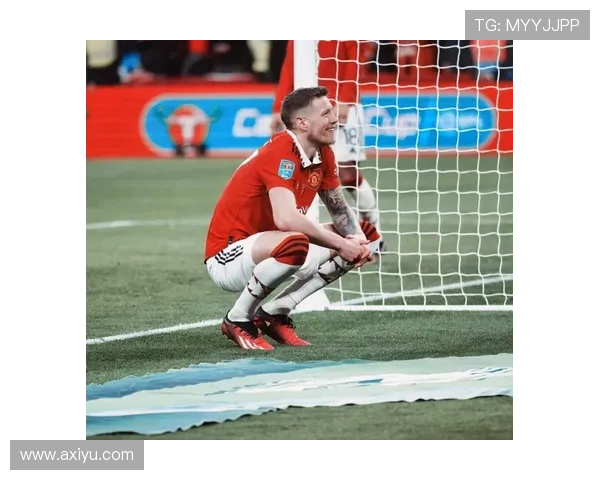 足球明星费迪南的传奇生涯与对足球的深远影响探讨